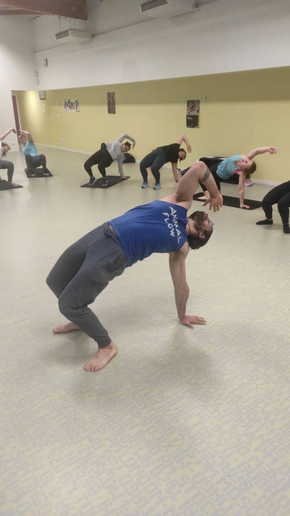 Animal Flow - Body Weight